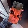 Pet Cat Funny Memes Phone Case For Xiaomi Poco X7 X6 X5 Pro F7 Ultra Redmi 15C 15 13 13C 12 12C 10 10A 10C 9 9A 9C 9T Shell Poco