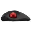 Nakabayashi Digio2 Wireless Mouse with Trackball, 5-Button Optical, Black, Z8645