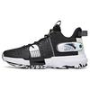 Кроссовки для баскетбола Light Crazy 2 Performance Shock Absorbation, износостойкие, низкие, мужские, черные, белые 112121610-2