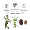 Kids Cognitive Snail Growth Cycle Cycle Mantis Figurine Praying Mantis Toy Life Cycle Figures