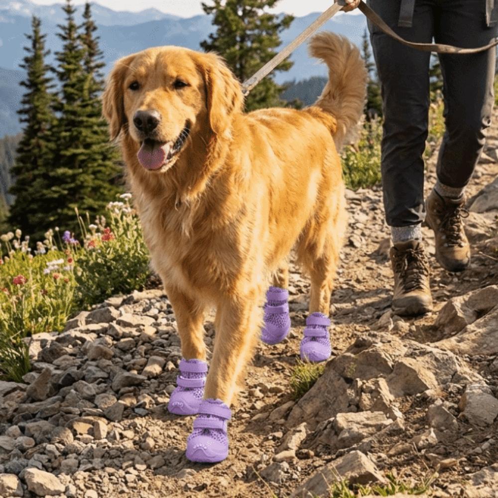 4PCS Soft Soles Anti-Slip Dog Shoes Wear-Resistant Non-slip Pet Sandals Hollow Out Breathable Pet Dog Shoes Outdoor Use