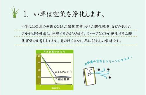 IKEHIKO "DX Marvelous" Igusa Rug, 2-Tatami Size, Blue, Approx. 191 x 191 cm (Non-Woven Backing)