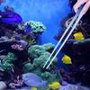 Curve and Straight Aquarium Tweezers Aquarium Cleaner Aquatic Plant Tweezers Stainless Steel Tweezers Aquarium Cleaner
