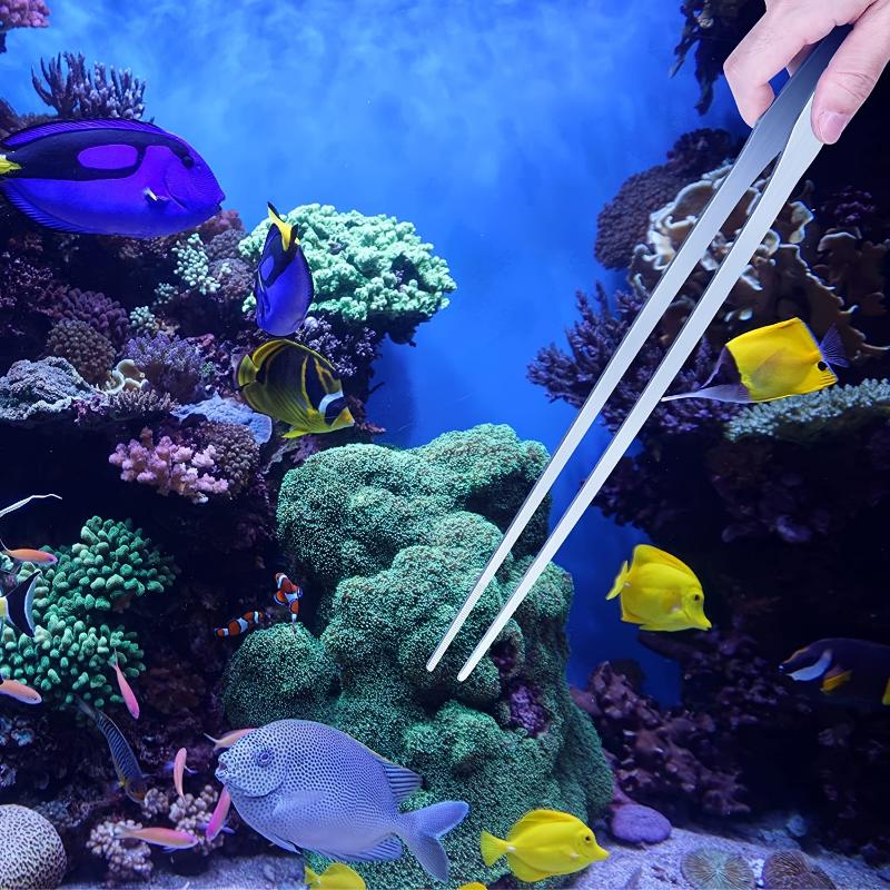 Curve and Straight Aquarium Tweezers Aquarium Cleaner Aquatic Plant Tweezers Stainless Steel Tweezers Aquarium Cleaner