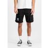 Шорты Alpha Industries Flying Tigers Short