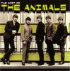 CD ANIMALS - The Most Of The Animals 724353829629 EMI Gold 2002 Европа Рок Б/У