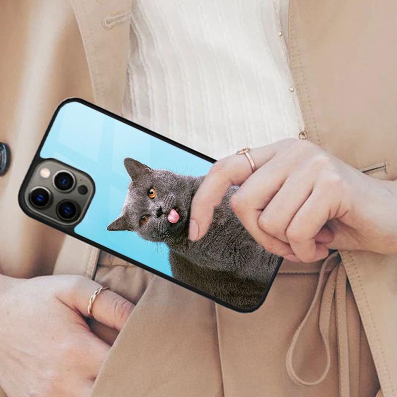 Beautiful Grey British Shorthair Cat Magnetic Phone Case For iPhone 17 Air 16 14 13 12 Pro Max 15 Plus Wireless MagSafe Cover