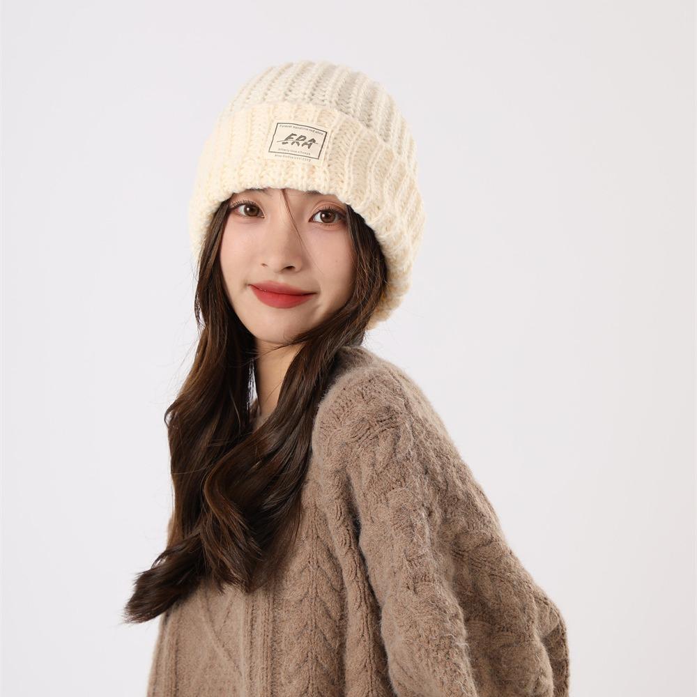 Japanese and Korean Style Couple's Slouchy Hat Men and Women Autumn and Winter Warm All Match Loose Fit Knit Woolen Hat