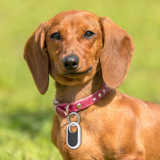 Yousheng Tracker Protective Case Durable Scratch-Resistant Pet Tracker Silicone Cover with Key Ring for SmartTag2