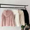 Autumn and Winter New Light Fur Coat Women's Imitation Mink Hair Hooded Short Plush Coat Women