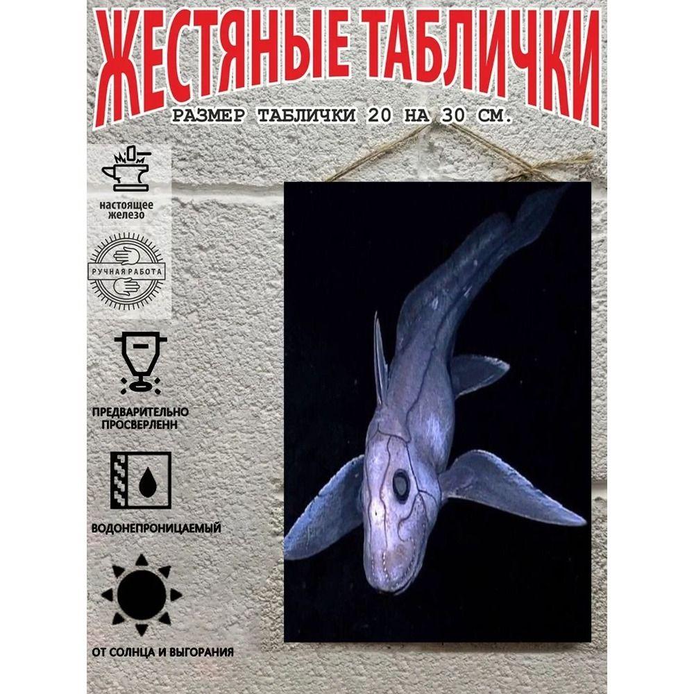 Металлические Настенные Знаки, Коллекция Морских Существ, Декор Комнаты, 20x30 см