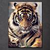 5D DIY алмазная живопись животное вышивка крестиком ремесло полная круглая дрель собака кошка тигр Алмазная вышивка распродажа домашний декор подарок