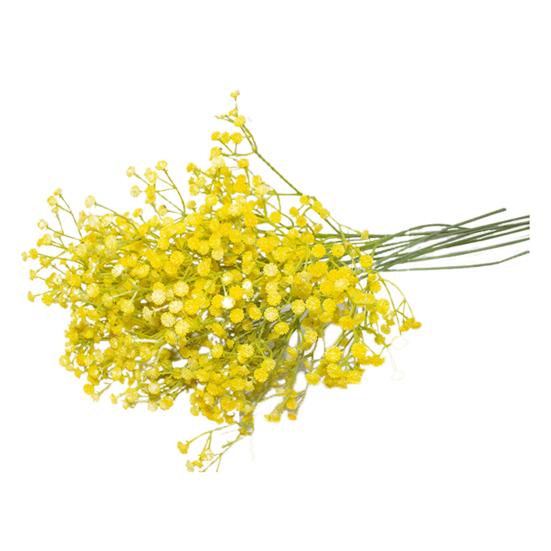 Практичный свадебный букет Легко поддерживать Тонкая работа Яркий