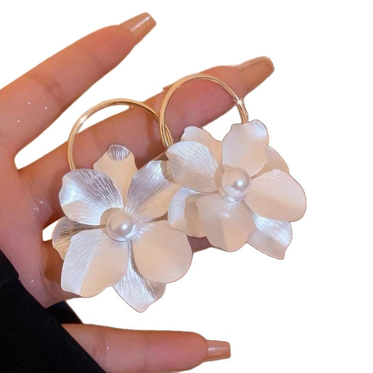 Fashion Drop Earrings For Women's Jewelry