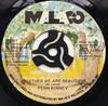 7-дюймовая пластинка FERN KINNEY - Together We Are Beautiful M2061 MALACO 1980 США Soul/Funk Б/у