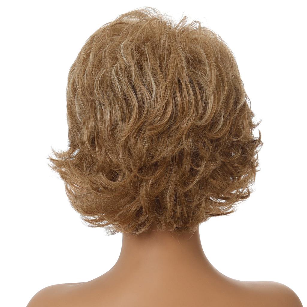 European and American Women Natural Looking Short Wig Front Lace Heat Resistant Synthetic Curly Wavy Wigs for Everyday Life