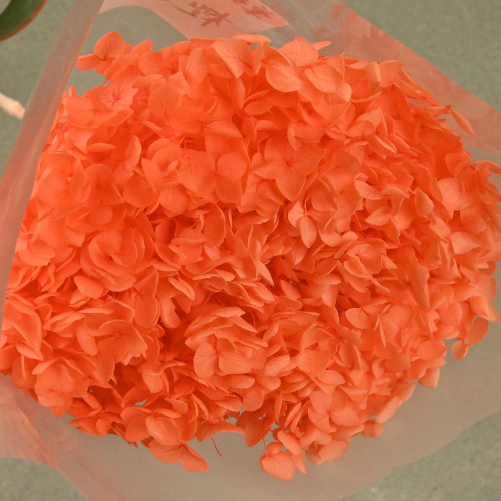 Phantom Flower: Single 20CM Preserved Hydrangea, Handmade Dried Bouquet for Decoration