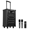 Edifier PW312S 12-дюймовый портативный уличный KTV-динамик, штепсель CN (адаптер в комплекте)