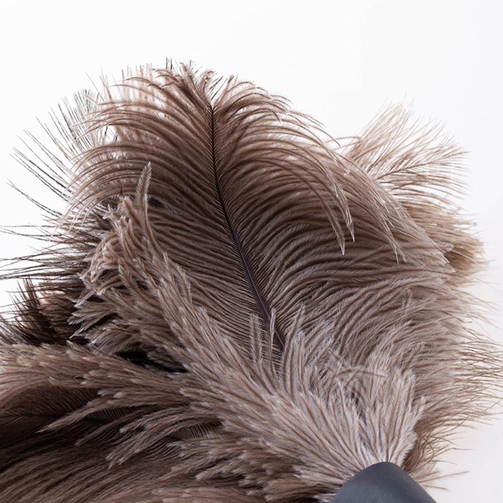 Hand Household Cleaning Tool Ostrich Feather Brush Duster Dust Removal Ostrich Feather Fur Brush