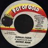 7inch Record BEENIE MAN - Ganja Farm NONE Pot Of Gold 1999 Jamaica Reggae, Ska & Dub Used