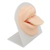 3D Модель языка и рта из мягкого силикона со стендом, многоразовая, для демонстрации ювелирных изделий, модель языка для практики пирсинга