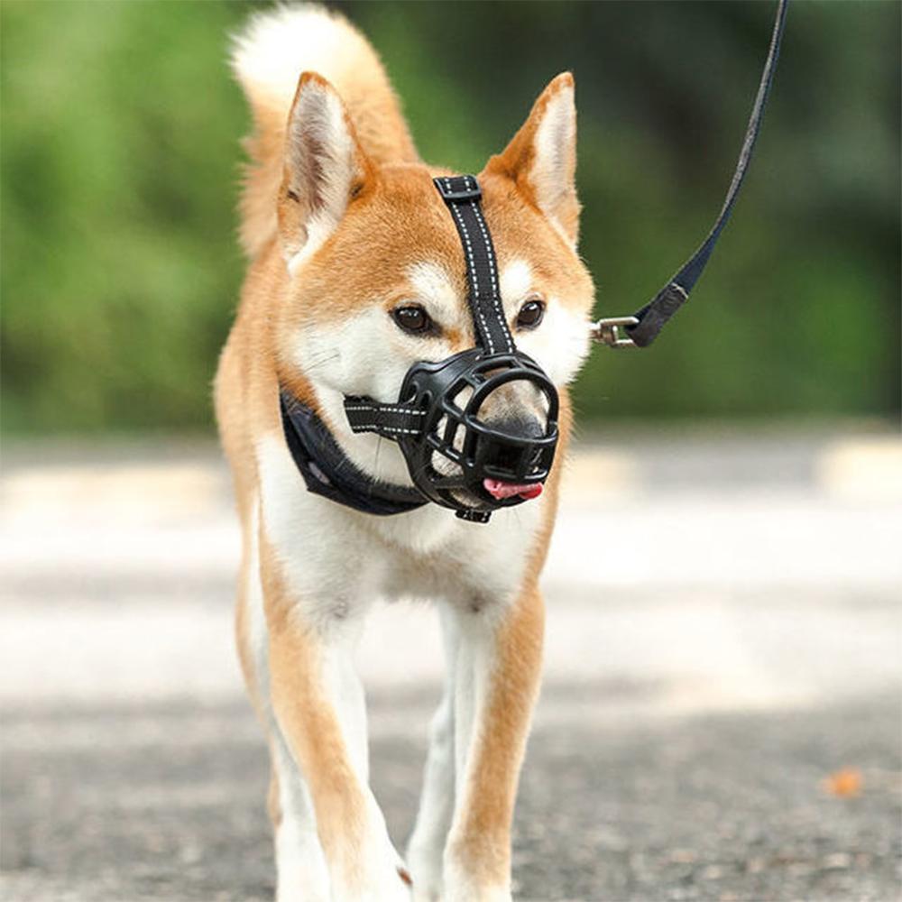 Anti Barking Dog Muzzle For Small Large Dogs Adjustable Mesh Breathable Pet Mouth Muzzles For Dogs Nylon Straps Large Dog Muzzle