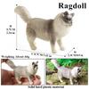 Oenux Cat Model Siamese Devon Rex Sphynx Ragdoll Persian Action Figure Cat Kitty Bobtails Figurine Cute Decoration Kids Toy Gift