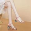 Fashion 2024 New Elegant French Style Transparent Crystal Thick Heel Women's Sandals High Heel Versatile Comfortable Summer Shoes