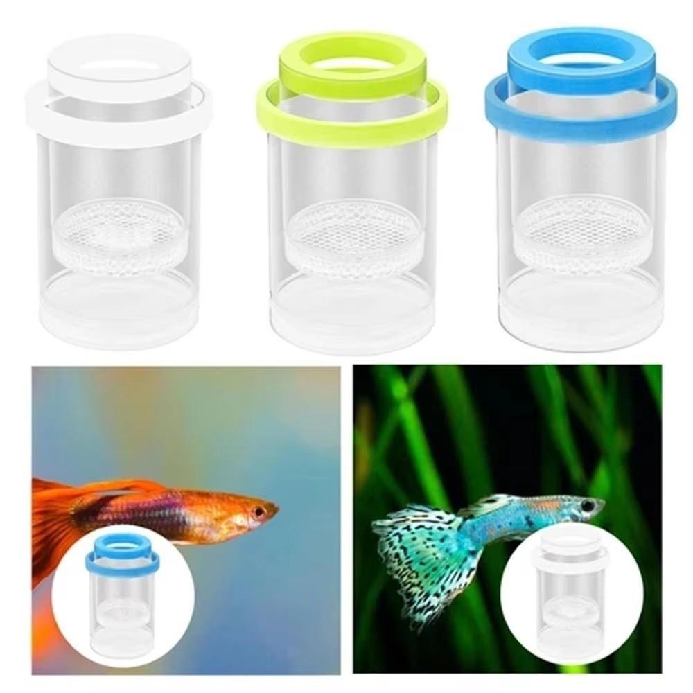 Transparent Aquarium Breeder Box Shrimp Guppy Fish Tank Incubator for Aquarium Hatchery Accessory