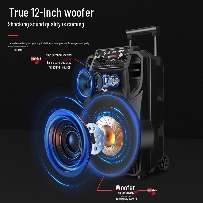 Newmine N509 Portable Outdoor Karaoke Speaker