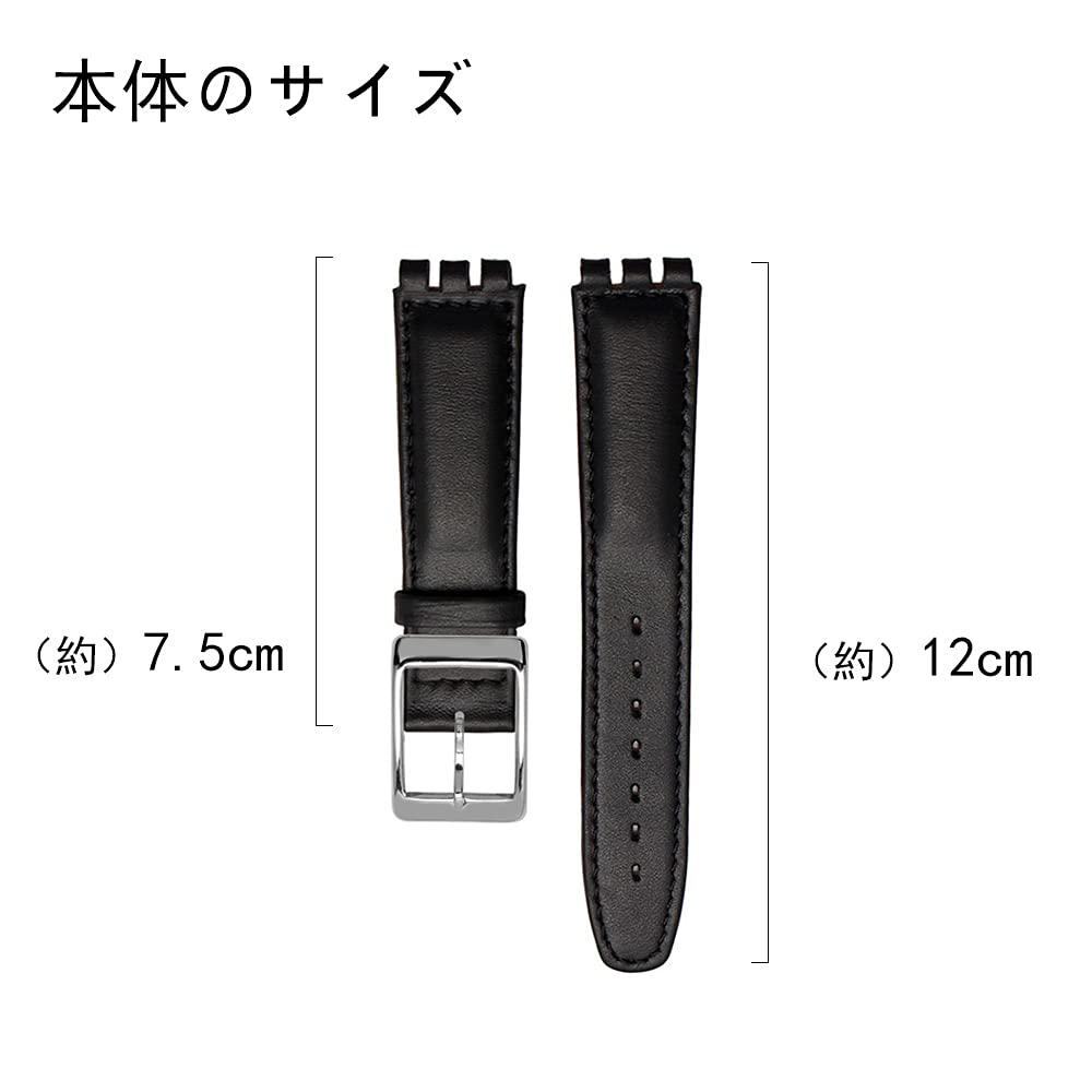 ZHUOLEI Swatch Watch Includes 3 Spring Spring Bar and Box Strap, 17mm/19mm, Black, Bars, Remover,