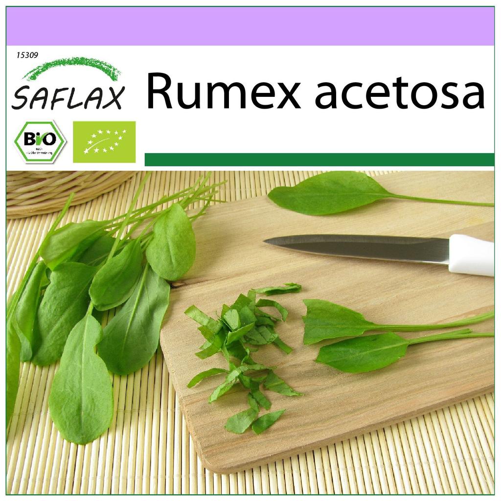 SAFLAX Organic - Щавель французский - 400 семян - Rumex acetosa