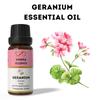 Ananta Geranium Essential Oil 10 Ml – Natural Floral Aroma Oil for Diffuser & Home Fragrance