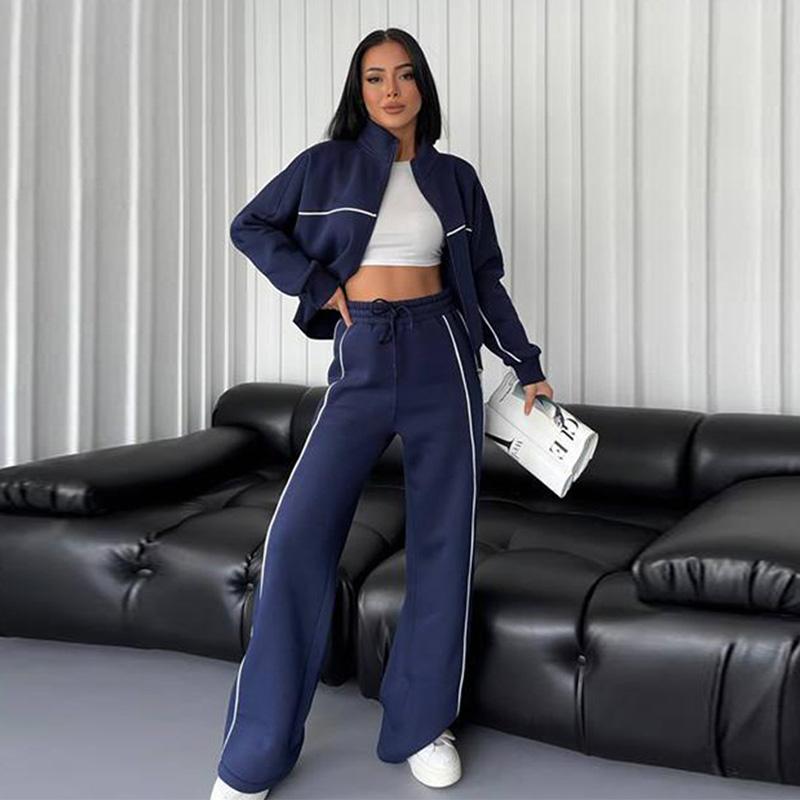 Женский повседневный свободный комплект из двух предметов на весну и осень, длинный рукав, воротник-стойка, толстовка с капюшоном на молнии, эластичный пояс, широкие брюки