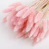50pcs Dried Rabbit Tail Grass Flowers Artificial Plant Wedding Party