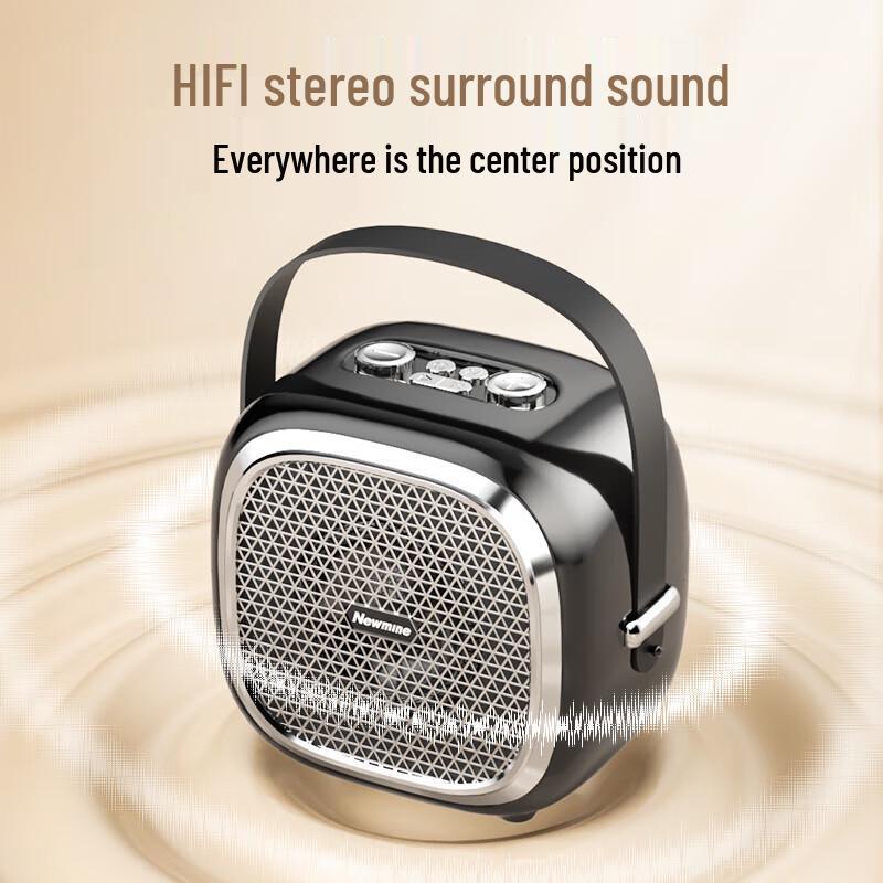 Newman Audio Devices CN plug (adapter included)