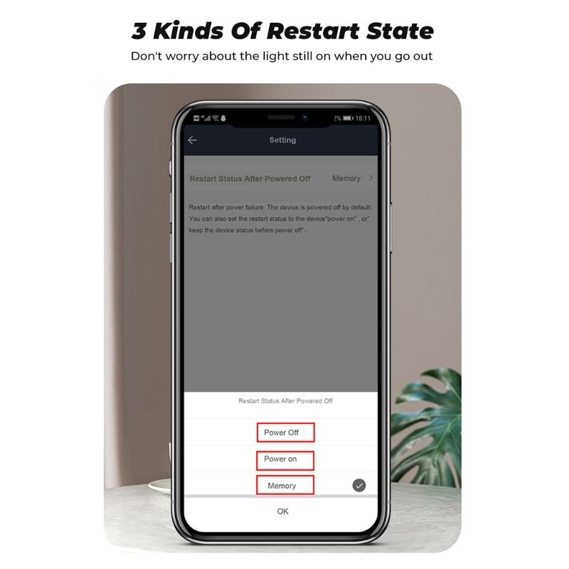 10А/16А Умное Wi-Fi устройство отключения Wifi для умного переключателя с голосовым управлением и управлением через приложение для Alexa Google-home для Smart S