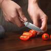 67 Layers Damascus Steel Paring Knife Fruit Vegetables Knife Sharp Cleaver Fishing Knife Kitchen Cooking Tools