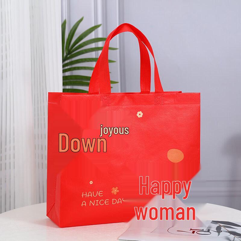 ZISIZ Festive Red Gift Bag