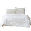 Luolai Xinya Silk Spring/Autumn Duvet