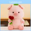 Clover Four Leaves Pig Hugging Heart Shaped Rose Doll Plush Toy Gift Animal
