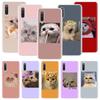 Super Lovely Cat Kitten Cute Funny Phone Case For Xiaomi Redmi Note 10 9 8 11 Pro 11T 11S 10S 9S 9A 9C 9T 8T 8A 7 7A 5 Art