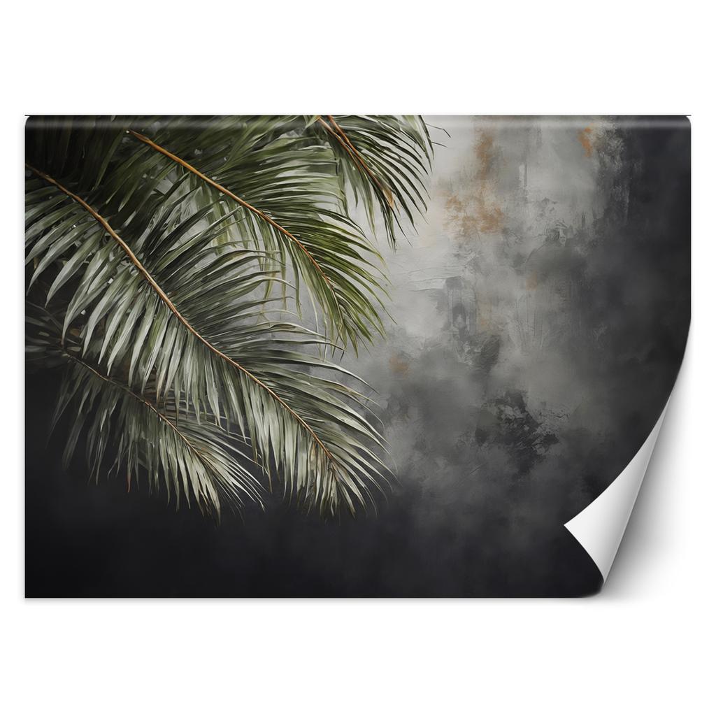 Wallpaper Palms Concrete Nature