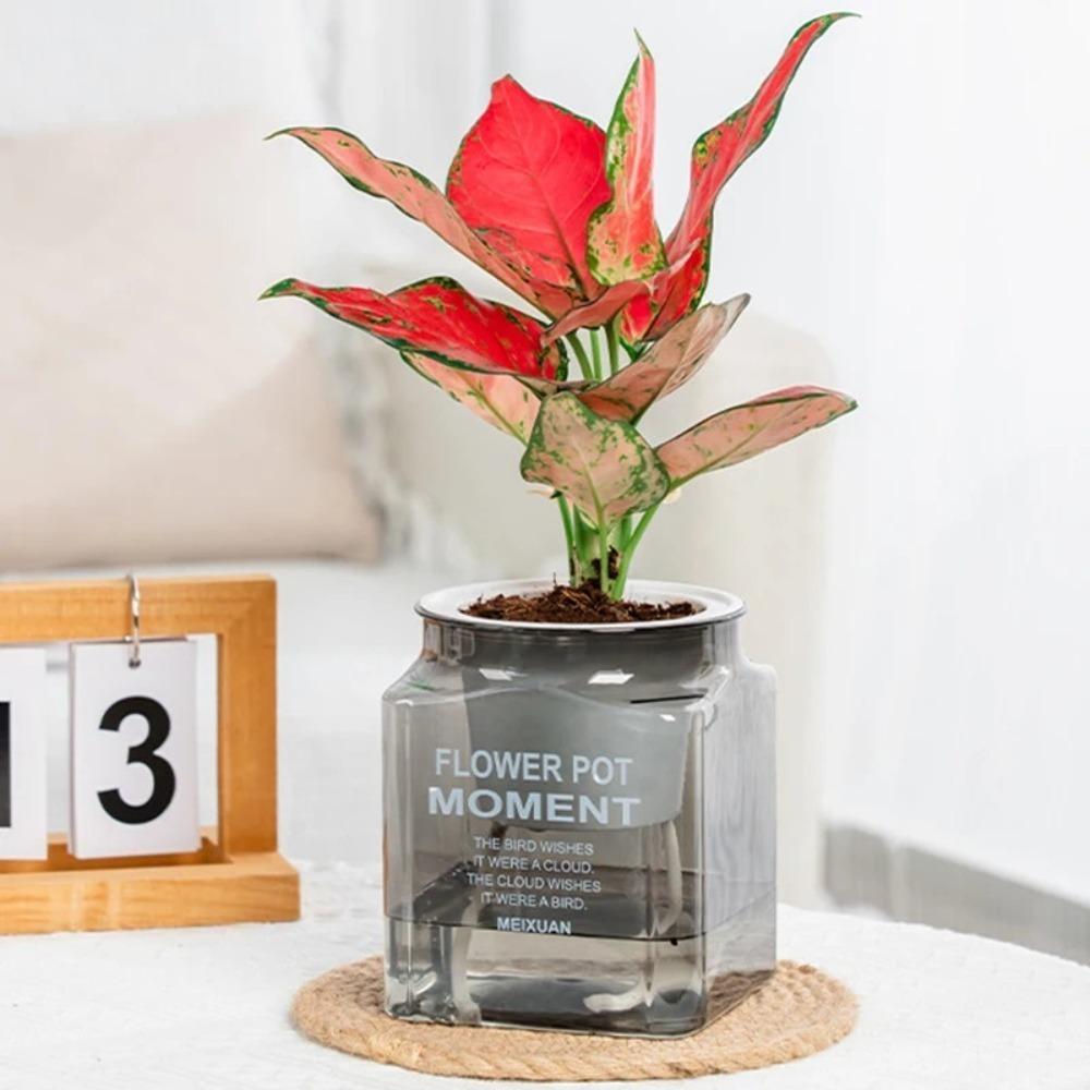 Plastic Hydroponic Plants Pot Self Watering Office Bonsai Decor