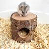Small Animal Hideout, Wooden Hamster Tunnel, Exercise Dwarf Mice Chew Toy, Ferrets Rabbit Bed Tunnel