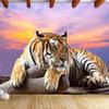 Современный стиль 3D фреска животное тигр обои для гостиной диван телевизор фон обои для стен