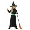 Girls Wicked Witch Costume Set