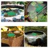 Bee Watering Station Bee Feeder Bee Waterer Pollinator Watering Station Butterfly Feeder Butterfly Waterer Outdoor Garden Decor