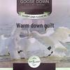 Impression Collection Winter Warm Goose Down Quilt