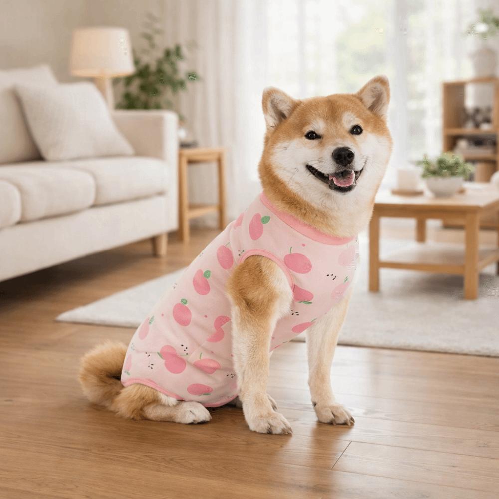 Cotton Dog Recovery Suit Cartoon Dog Jumpsuit Dog Sterilization Suit  Prevents Licking Wounds
